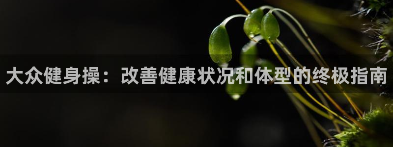 龙8国际开户