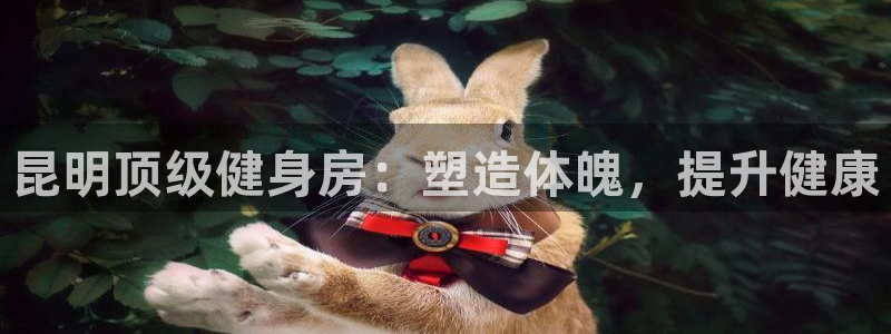 龙8官网手机版国际网页登录