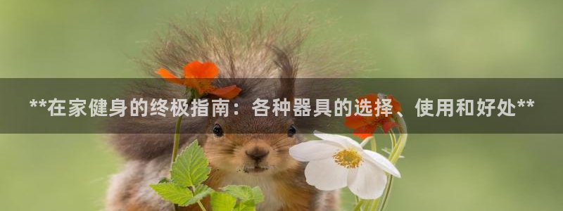 龙8老虎机手机版