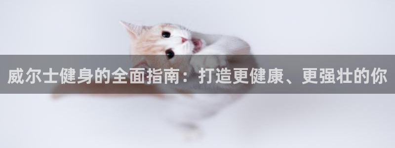 龙8国际手机版官网