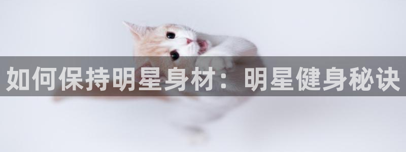 龙八国际登录密码