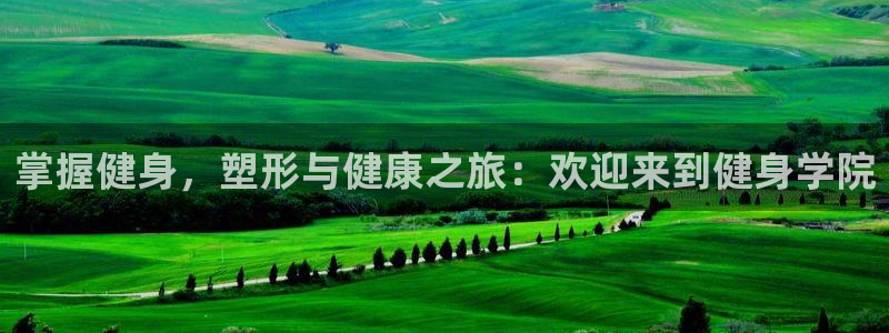 龙8国际pt官方网址