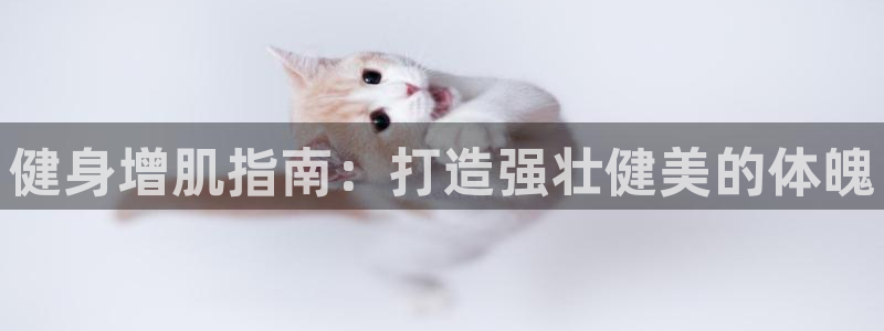 龙8国际老虎机电子