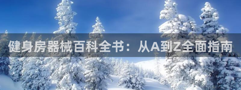 龙8国际真钱