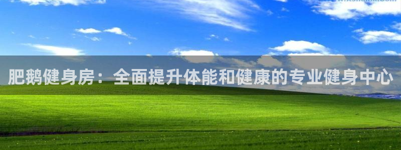 龙8国际官网娱乐