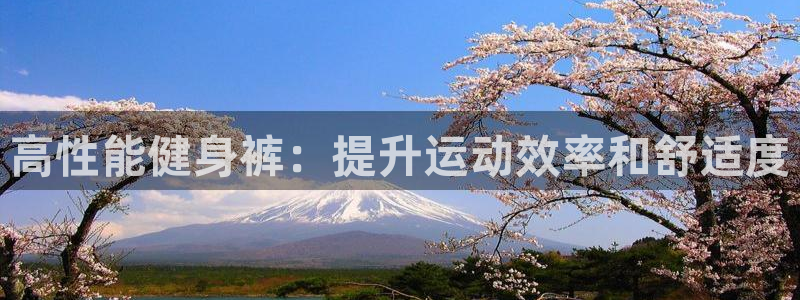 龙8游戏官方网站登录
