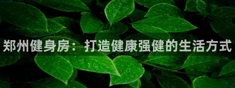 龙8国际电子游戏