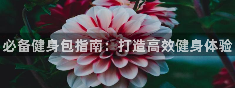龙8国际最新官网