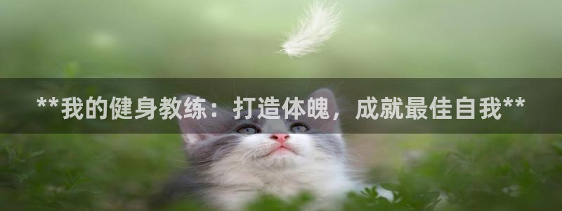 龙8游戏网站
