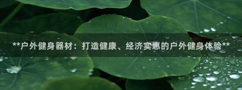 龙8国际long8