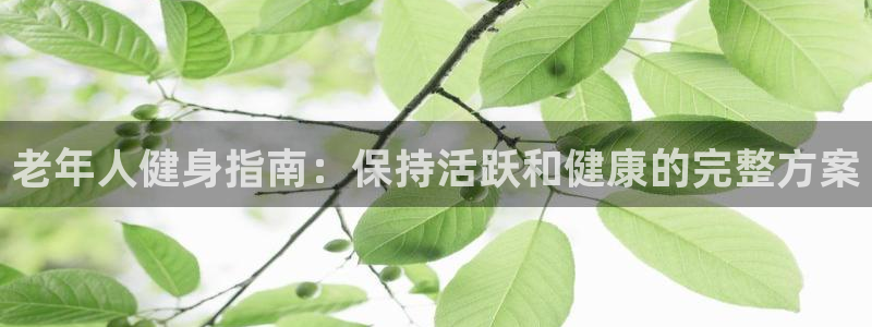 龙8国际是不是黑网