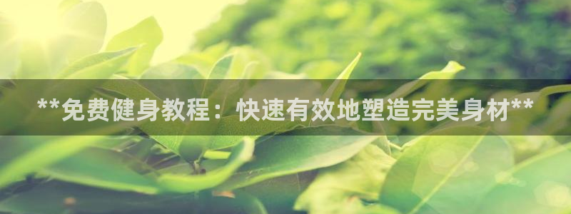 国际龙8hk