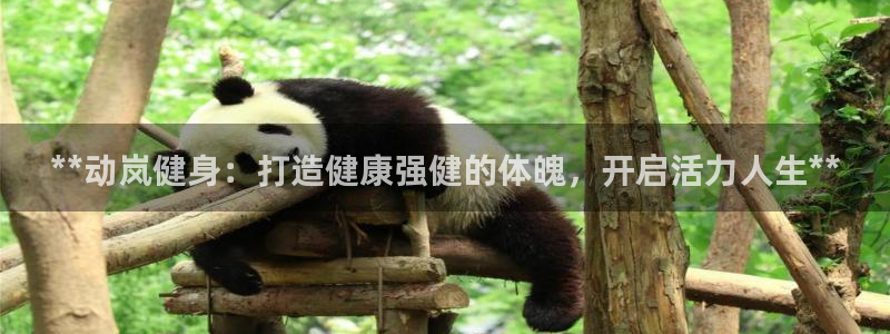 龙8国际手机官网下载