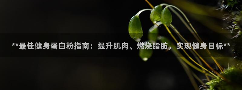 龙8国际网页登录