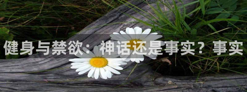 龙8国际怎么样