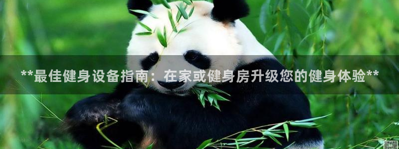 龙8游戏网站