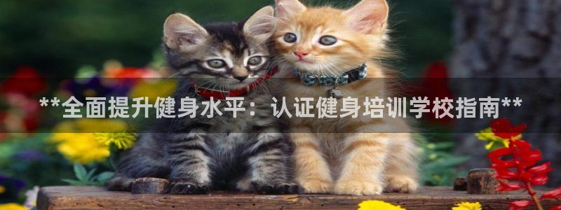 龙8国际中国