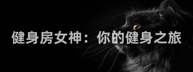 龙8游戏官方网站s