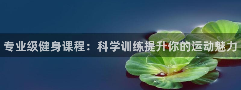 龙8国际官网点此进入游戏