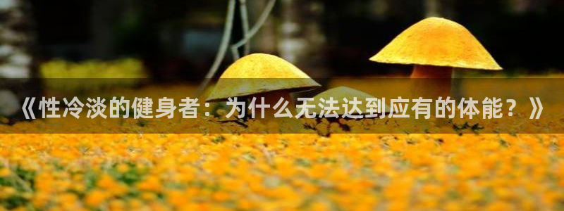 龙8国际long88