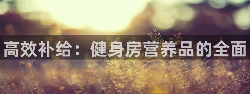 龙8国际安卓版版