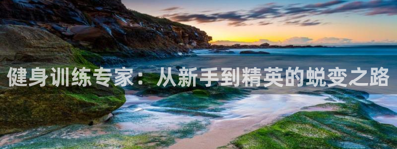 龙8国际手机登录官网