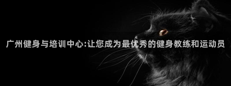 龙8国际安卓版