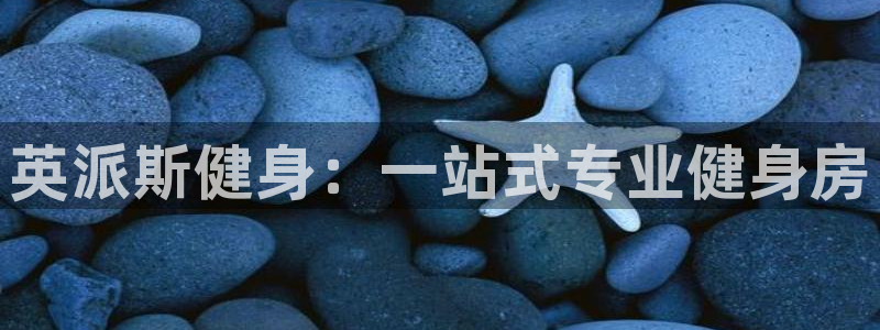 龙八国际官方网站app登录