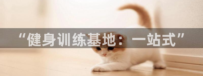 龙8国际免费试玩