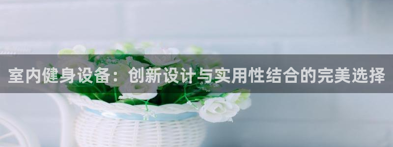 龙8官网国际