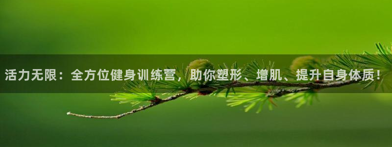 龙8国际提现