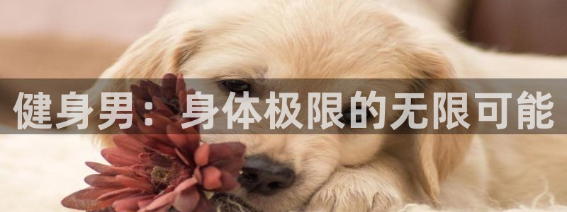 龙8国际怎么进不去了