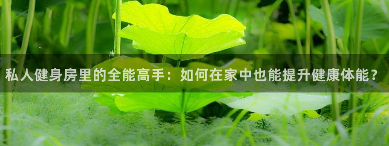 龙8国际3.0