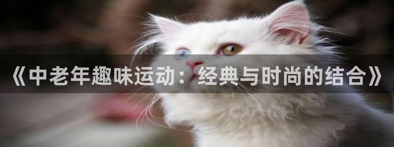 龙8国际龙8官方网站
