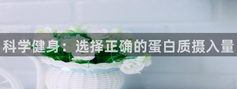 龙八国际官网下载