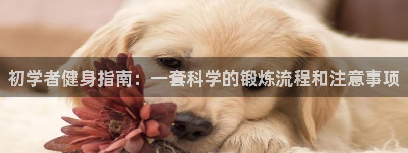 龙8国际中国官方网站