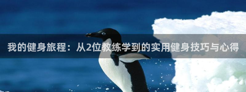 龙八国际网页