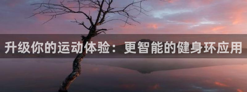 龙8国际提现