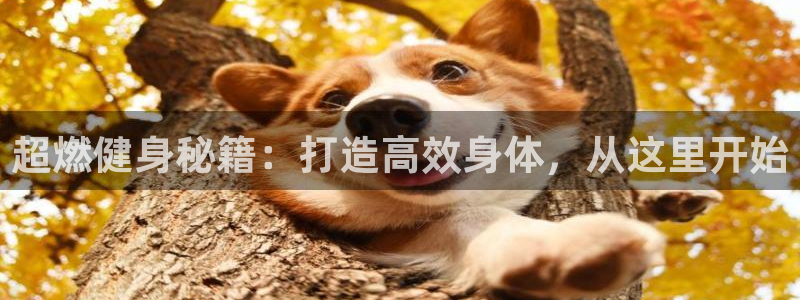 龙8游戏网站