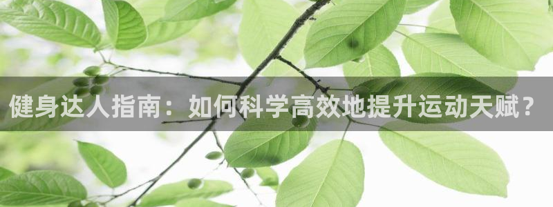 龙八国际app客户端下载不了
