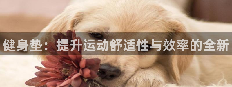 龙8国际游戏官方网站
