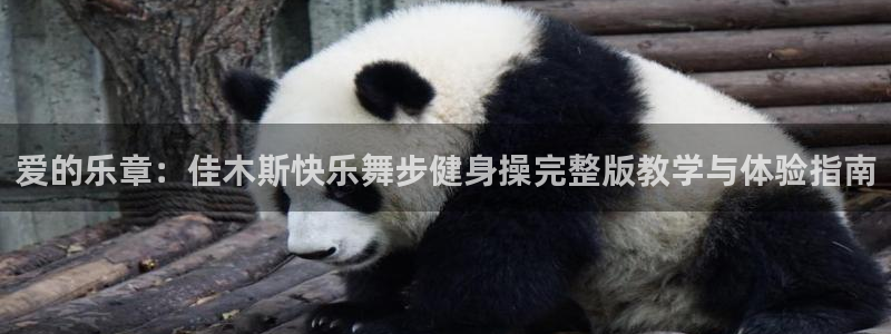 龙8国际头号玩家是谁