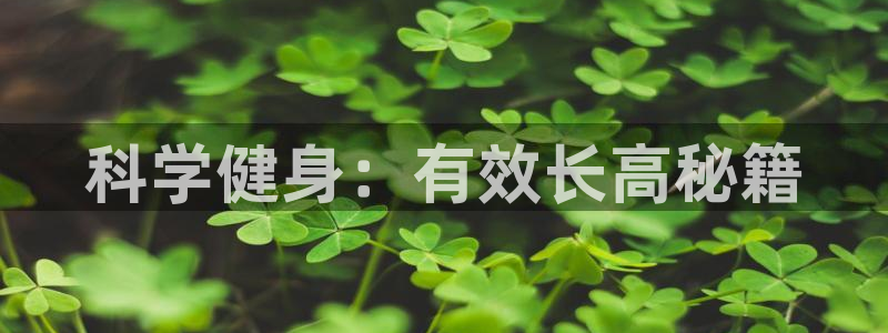 龙8网页版登录入口