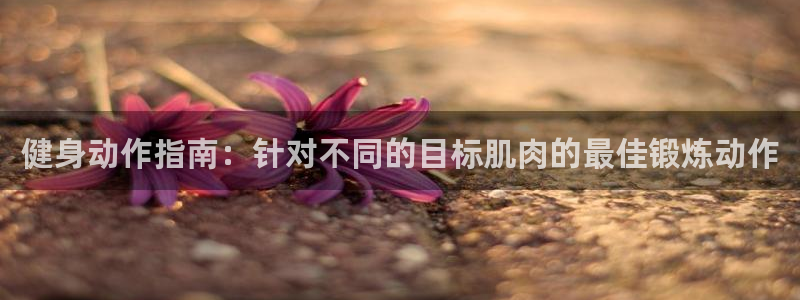 龙8国际会员注册