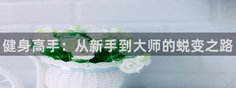 龙8国际平台输了多少