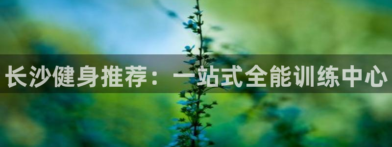 龙8国际官网 点此进入