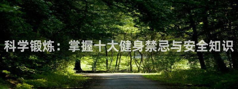 龙八国际官方网