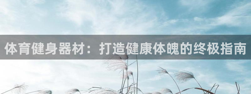 龙8国际龙8官方