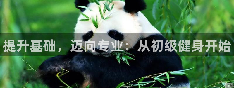 龙8国际平台登录