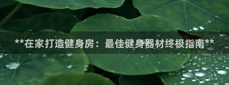 龙8国际app客户端下载